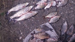 В Икрянинском районе продолжают выявлять рыбаков-нарушителей