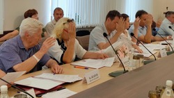Икрянинские депутаты внесли изменения в устав района