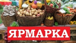 Жителей Икрянинского района приглашают на сельскохозяйственную ярмарку
