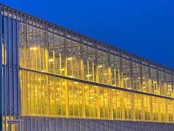 Тепличный комплекс «Кедр» получил господдержку на выращивание томатов