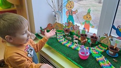 Икрянинские школьники устроили «Огород на подоконнике»