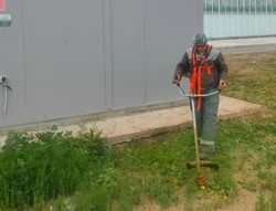 В Икрянинском районе борются с опустыниванием земель