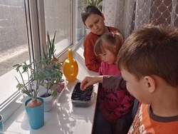 Воспитанники Икрянинского центра «Ручеек» посадили «огород на подоконнике»