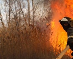 Устранение последствий пожара в Мумре местные власти держат под контролем