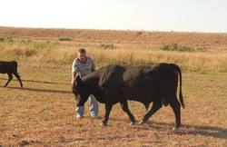 Икрянинского фермера отметил Совет Федерации