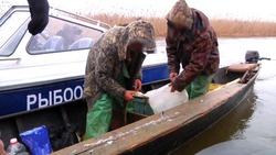 В Икрянинском районе задержали браконьера со стопятидесятиметровой сеткой