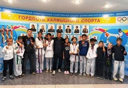 Икрянинцы приняли участие в соревнованиях по тхэквондо в Калмыкии