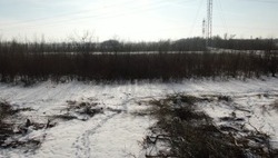 В Икрянинском районе выявлено нецелевое использование сельхозугодий